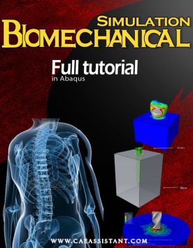 Abaqus Bio mechanical